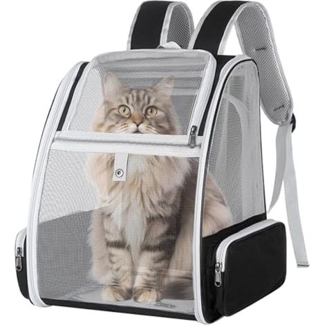 Sac à dos de transport pour chat – Sac à dos respirant avec fenêtre en maille, sac à dos pliable pour voyage et extérieur, peut supporter jusqu'à 5 kg (1/5)