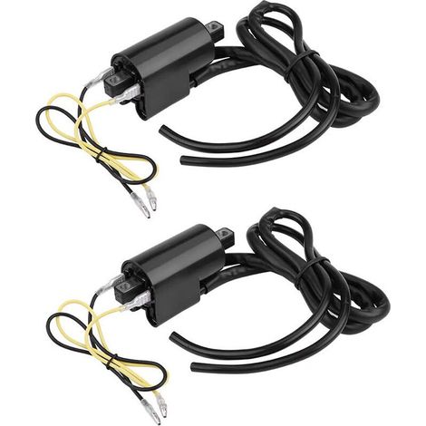 Bobine d'allumage pour Suzuk GSF400 GSF600 GSF1200 1996-2004 (1/5)