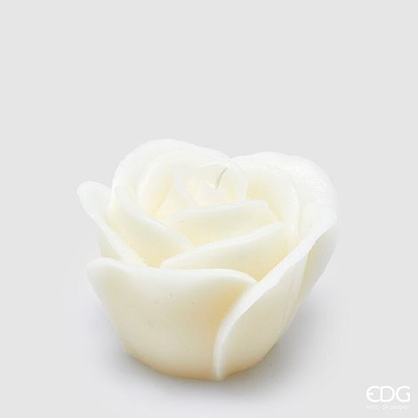 EDG Enzo De Gasperi Candela Rosa Sugar H 10 Cm D 13 Cm Avorio