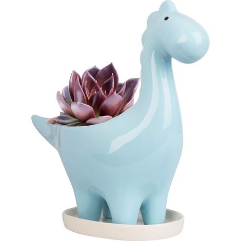 Pot de Céramique Succulente avec Soucoupe, Pot de Fleur Cactus Forme de Dinosaure, Mini Intérieur Pot de Plante Cadeau Décoration pour Maison Bureau Bonsai Jardinière Contenant (1/5)