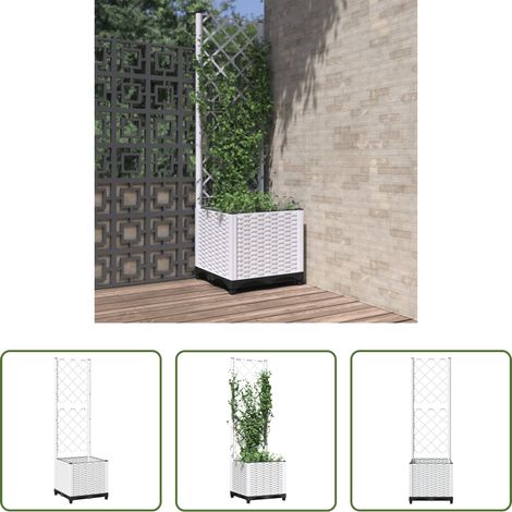 Plantes grimpantes -  Jardinière avec treillis Blanc 40x40x136 cm PP (1/5)