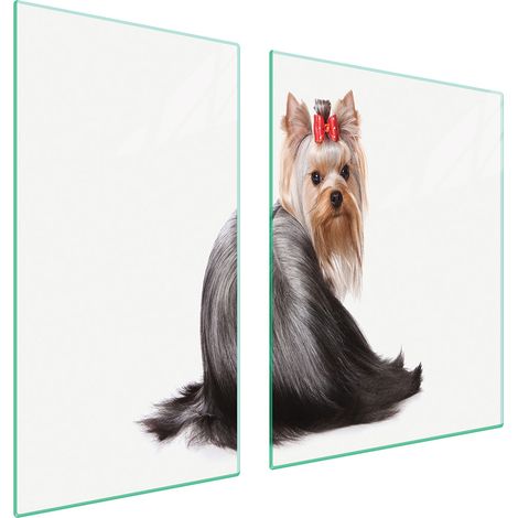 GLASSCHUTZPLATTE FÜR HERD 90x52 HUND (1/5)