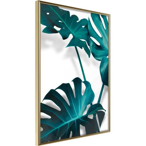 Affiche Murale Encadrée "Turquoise Monstera II" 40 x 60 cm Or (1/2)