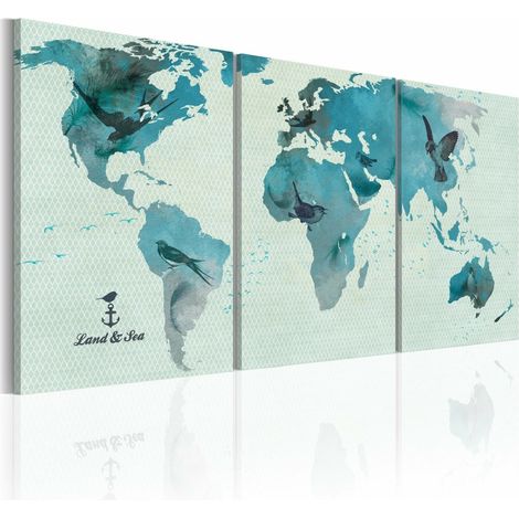 Tableau carte ornithologique du monde - 120 x 60 cm (1/4)
