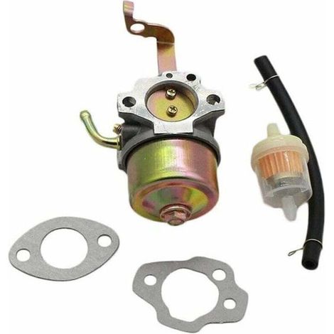 Juego de carburadores RGX2400/RGX3500 apto para Robin EY20 EY15 DET180 WI-18 (1/5)