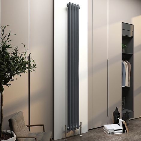 Biubiubath Traditional Cast Iron Radiator 1800x200mm 2 Column Anthracite (1/5)