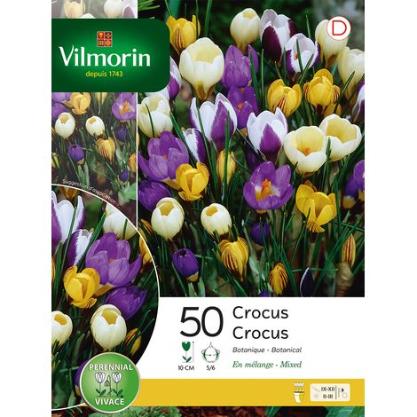 Vilmorin Crocus Botanique en Mélange (x50) (1/2)