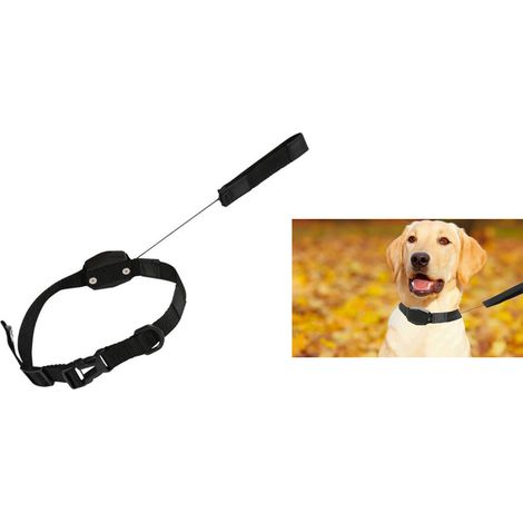 Guinzaglio collare per cani 4-15kg nero magnetico retrattile piccola taglia S/M (1/3)