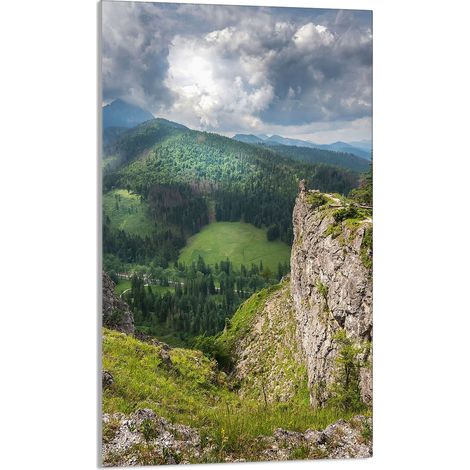 TAGLIERE IN VETRO 30x52 Montagne (1/5)