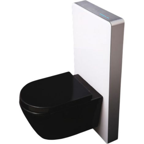 BERNSTEIN - Pacchetto completo WC sospeso nero opaco 36x55x35cm (LxPxA) + Modulo sanitario bianco 48x11x100xm (LxPxA) - Garanzia 5 anni