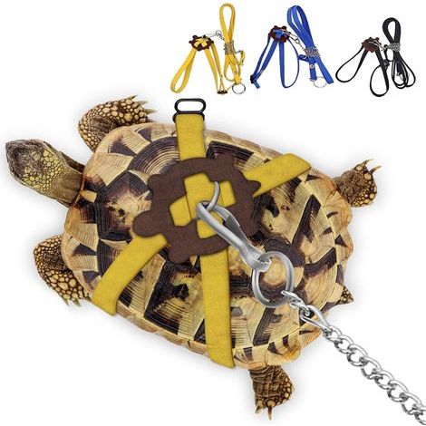 Leather Harness with Adjustable Leash for Turtles and Lizards, Comfortable Walking Accessory, Size M (1/5)
