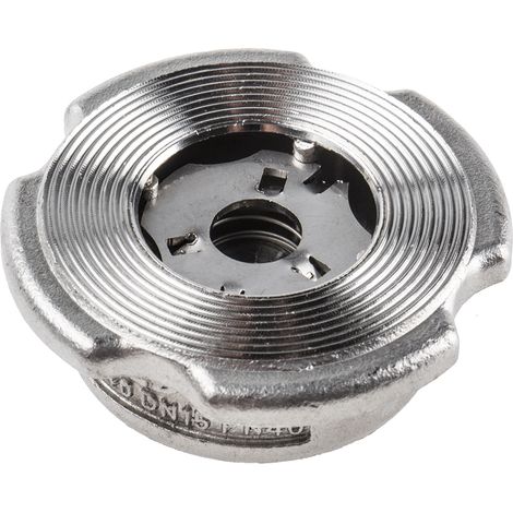 Clapet antiretour en Acier inoxydable RS PRO, 15mm ( Prix pour 1 ) (1/2)