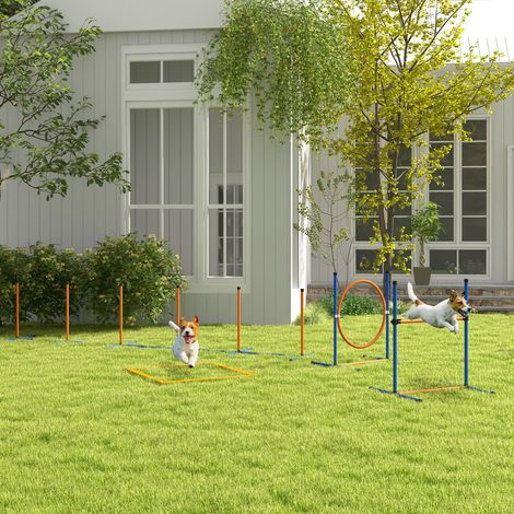Parcours canin d’agilité Dog Track - 1 slalom ensemble - 352 cm x 66 cm x 69 cm - 1 cerceau - bleu + rouge - 1 haie