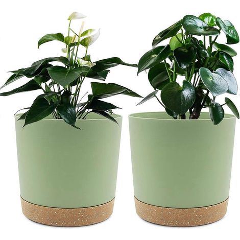 Lot de 2 pots de fleurs de 16 cm, pots avec trous de drainage et fond amovible (vert 16 cm) (1/5)