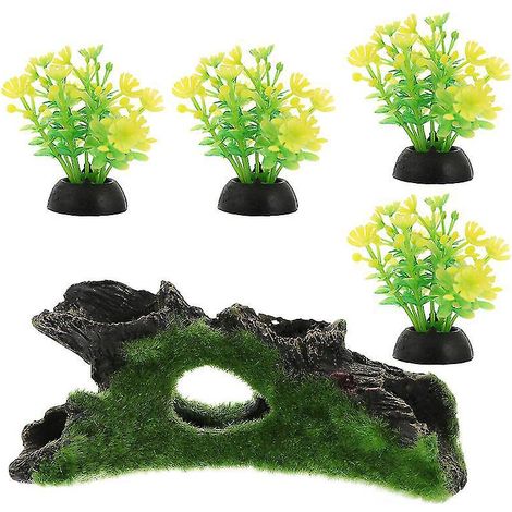5 Stück Aquariengras (1/3)