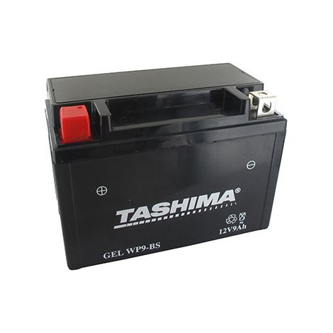Batterie Plomb étanche Gel/agm 12v Wp, 8a. L: 150, L: 86, H:105mm, + à Gauche. - Batterie à Mettre En Acide Avant D'être Délivré