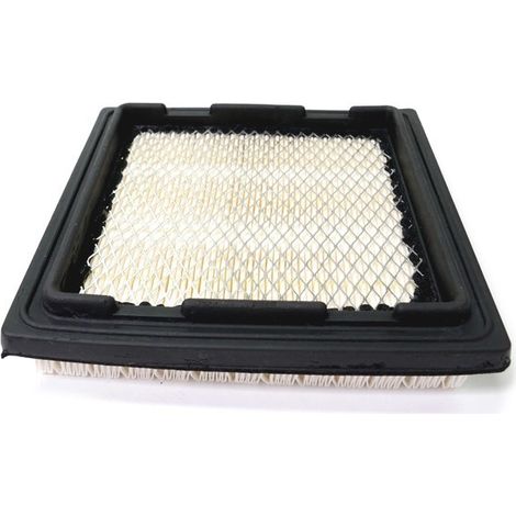 Filtre à air Tecumseh autoportée - 37360