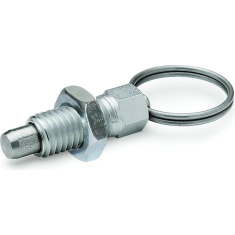 Ganter Norm elementi GN 717 – 3 della M6 della AK della St – Resto Bulloni, Argento, 2 pezzi