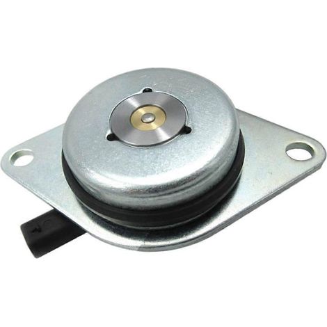 Les soupapes VVT assurent un calage moteur optimal et un fonctionnement silencieux pour divers véhicules. (1/5)