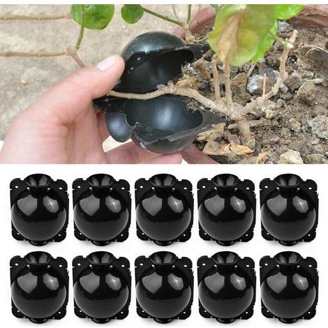 10 Rooting Balls for Plants - Garden Grafting Box - Rooting Box for Seedlings - Seedling Balls - 5 cm, Black (1/5)