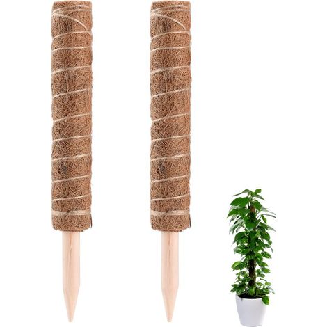 Poteau en fibre de coco naturel pour plantes grimpantes - 30cm, 35cm, 40cm, 45cm - Soutien solide et hydratation durable pour vos plantes d'intérieur (1/5)