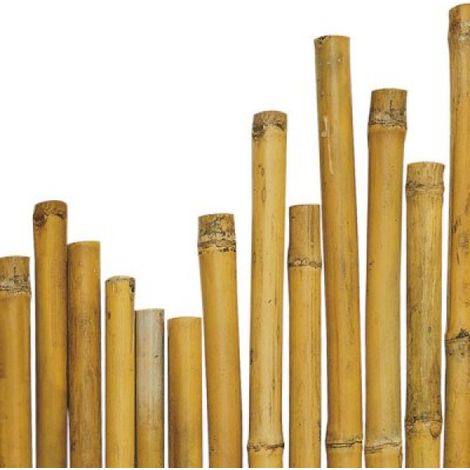 Bambusstangen für Pflanzenstütze 2,2-2,4 cm Ø 180 cm