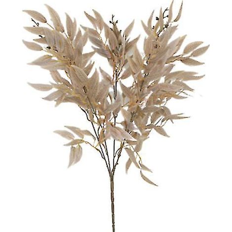 1 modèle de plante simulée (1/3)
