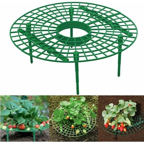 6 pièces Support de Cadre de Fraise, Support de Plantation Support de Plante élever Le Fruit Loin (1/5)