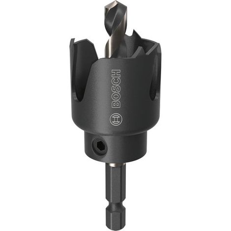 Bosch Holesaws Wood and Drywall Arbored Hole Saw 30 x 27 mm 2608594491 (1/5)