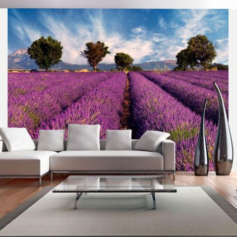 Papier peint Champ de lavande en provence, france - 300 x 230 cm