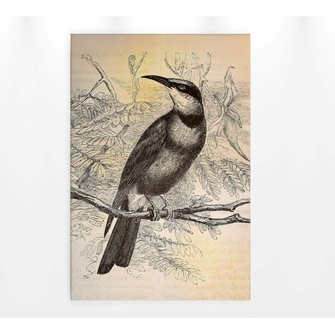Tableau élégant avec oiseau sur branche | Tableau dessin oiseau beige & gris anthracite idéal bureau | Tableau pour couloir - 0,6 x 0,9 m (1/5)