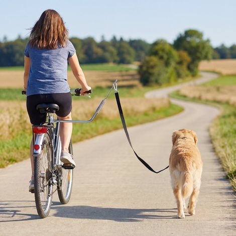 Guinzaglio per cani da bicicletta in acciaio inossidabile da 180 cm, con sgancio rapido, molla ammortizzante e cinturino regolabile, colore argento.