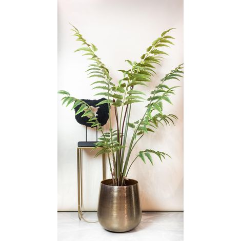 Grande Fougère de Cuir Artificielle Rumohra Adiantiformis Décoration Intérieure Vert 180 cm - PANGIVO (1/5)
