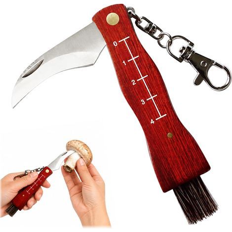 Mini Couteau à Champignons avec Brosse Pliable, Lame Inox Manche Poirier Rouge à Échelle, Outil Portable pour Ramasser les Champignons,4cm (1/5)