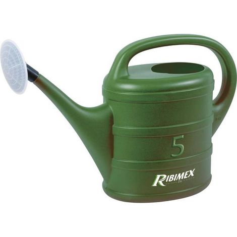 Arrosoir 5L - Pomme d'Arrosage Amovible - - Pratique et Ergonomique - Durable - D-Work (1/2)