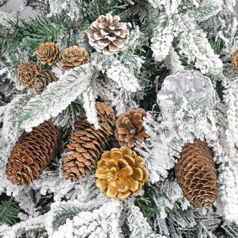 40 pommes de pin décoratives naturelles pour la décoration intérieure (automne, hiver, Noël), les loisirs créatifs, la confection de guirlandes et de bijoux. (1/3)