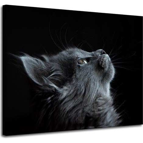 Lienzo impreso con diseño de gato persa, 100x80 cm. (1/4)
