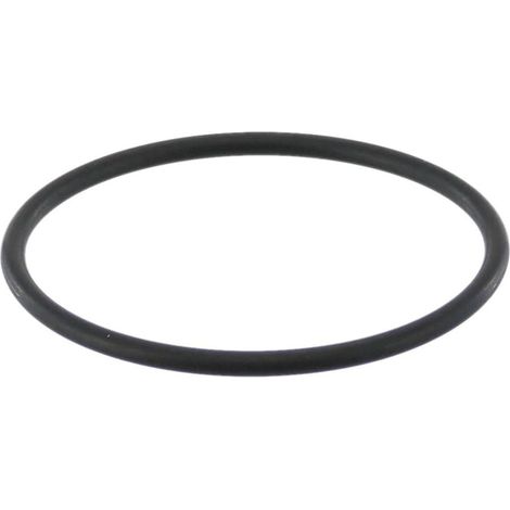 GUARNIZIONE SILICONE CALDAIA MACCHINA CAFFE GAGGIA CAREZZA EVOLUTION BABY 70mm