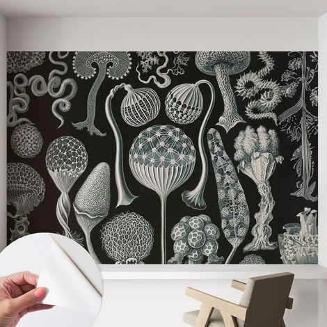 Tapete adhésive moderne pour salon et chambre à coucher Décoration rapide avec colle Plantes magiques 152x104 cm (1/5)