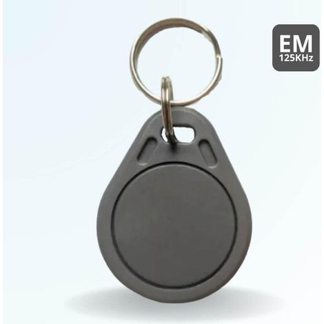 Badge porte-clé RFID EM (1/4)