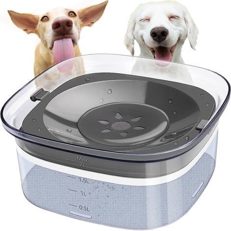 QAZQA Gamelle Flottante pour Chien,Gamelle Chat,2L Extra Large Capacité Claire (Visible) Base Antidérapante,Gamelle Eau Chien Anti Eclaboussure,Fontaine à Eau de Voyage pour Chiens et Chats (1/5)