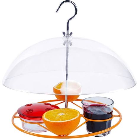 Mangeoire pour orioles, 3 types d'aliments : moitiés d'oranges, nectar et gelée de raisin. Mangeoire pour colibris, dôme réglable en métal à suspendre pour l'extérieur, anti-écureuils et grands oiseau (1/5)