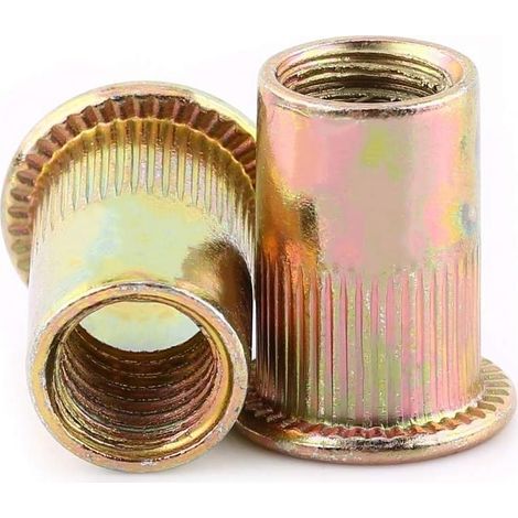 Lot de Ecrous de Rivet Insert Filetage Métrique en Acier au Carbone Zingué (M6 × 100pcs) (1/4)