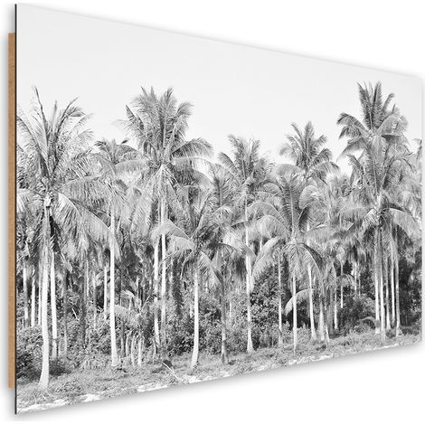Quadro deco panel, Palme in bianco e nero nella giungla - 100x70 (1/5)