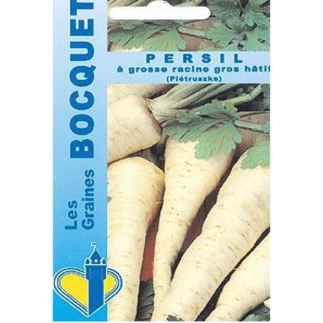 Persil à grosse racine Gros Hâtif le sachet de 450 graines environ (0.6g)