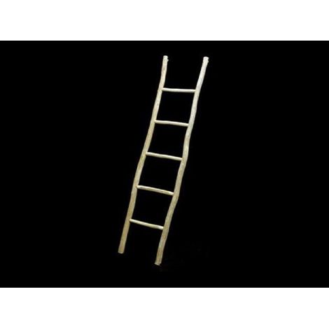 Deco Ladder Teak Natural B50H200CM