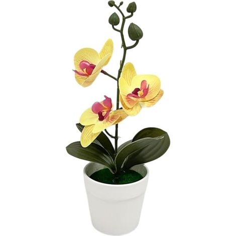Artificial Phalaenopsis Orchid 25cm Realistic Plastic (Yellow) (1/5)
