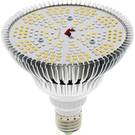 Lampe horticole LED 300 W E27 à spectre complet pour la croissance, idéale pour les serres, la floraison et l'hydroponie. (1/5)