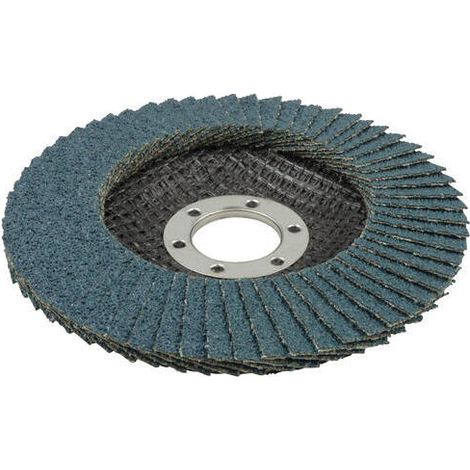 Disco de Láminas Abrasivo Wolfcraft WS Grano 40 115mm (5650000) (1/4)