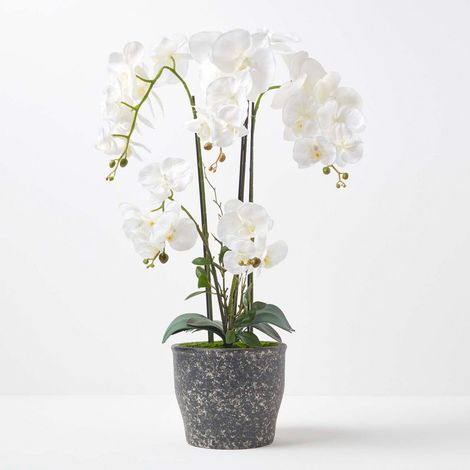 HOMESCAPES White Orchid 82 cm Phalaenopsis in Ceramic Pot Extra Large, 4 Stems